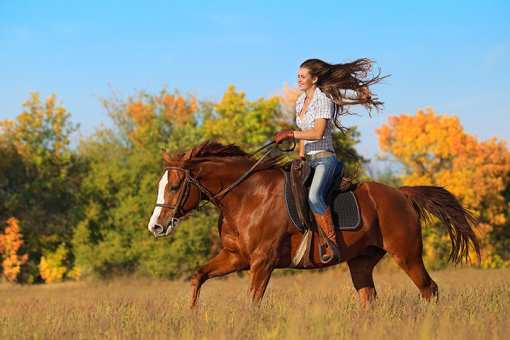 5 Best Horseback Riding Services in Washington!