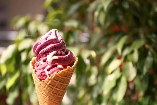 The 9 Best Ice Cream Parlors in Washington State!