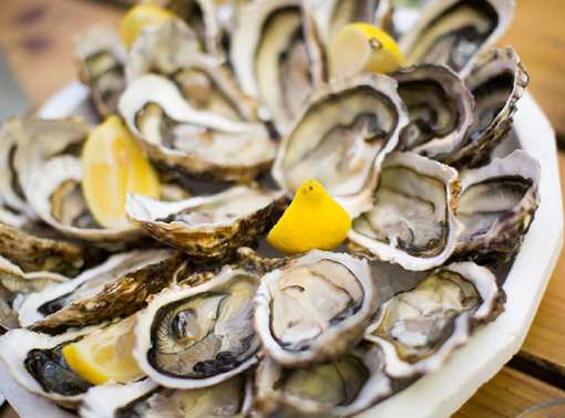 10 Best Places for Oysters in Washington!