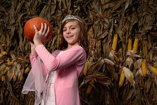 The 10 Best Corn Mazes in Wisconsin!