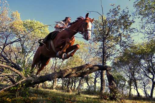 10 Best Horseback Riding Services in Wisconsin!
