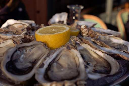 7 Best Oyster Places in Wisconsin