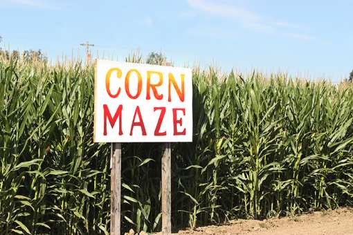 The 9 Best Corn Mazes in West Virginia!