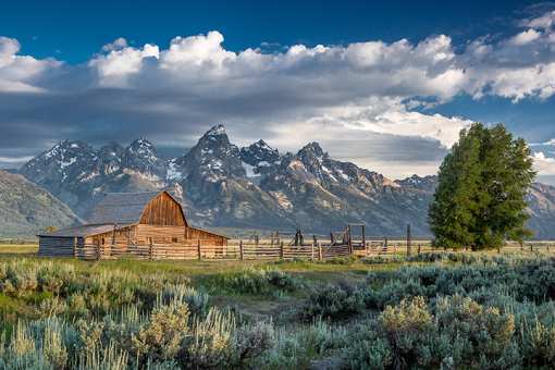 Top 10 Fun Facts About Wyoming
